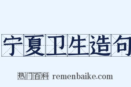 宁夏卫生造句是什么意思的图片